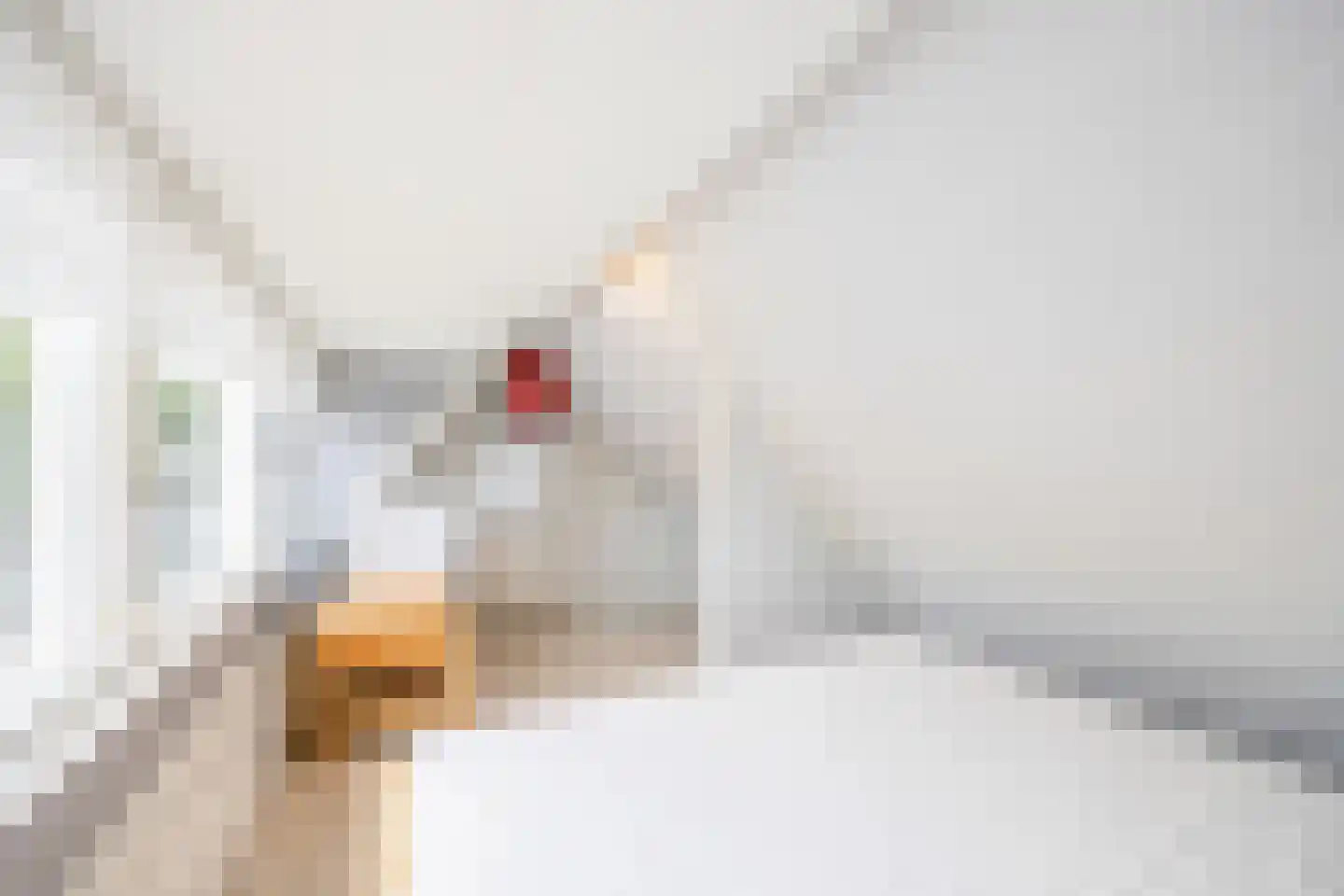 Talmastraat 4 Zaandijk thumbnail 25