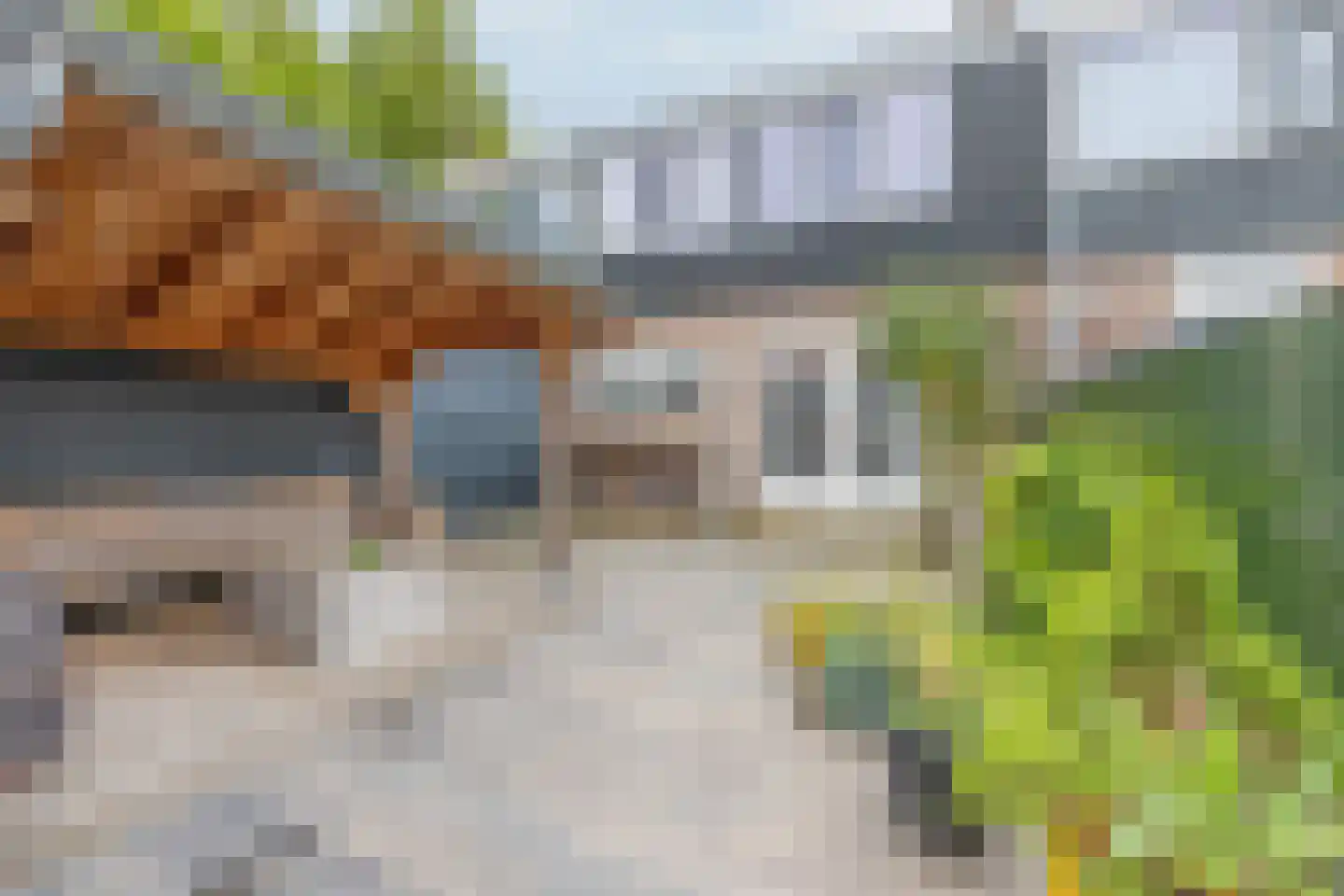 Talmastraat 4 Zaandijk thumbnail 26