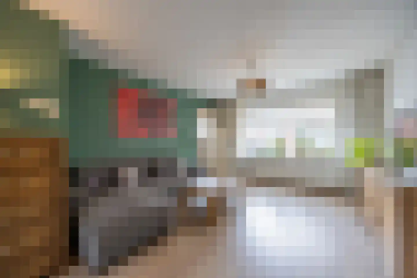 Talmastraat 4 Zaandijk thumbnail 4