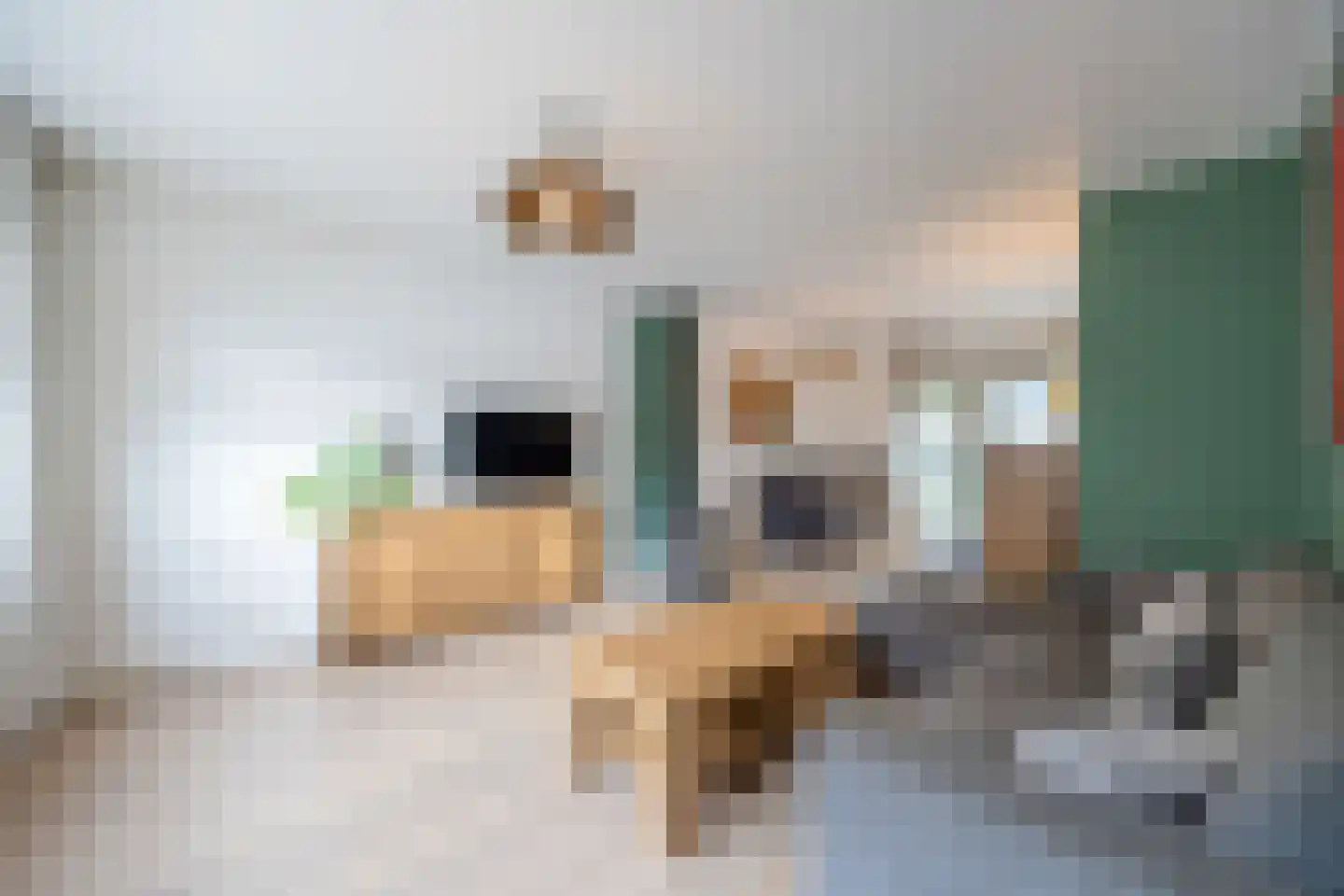 Talmastraat 4 Zaandijk thumbnail 6