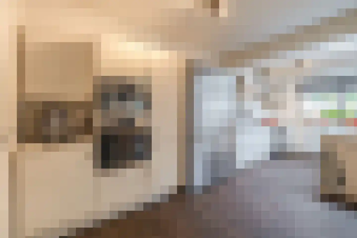 Talmastraat 42 Waalwijk thumbnail 14