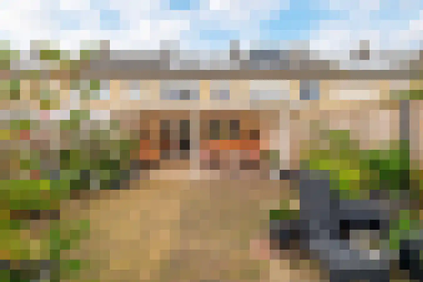Talmastraat 42 Waalwijk thumbnail 18