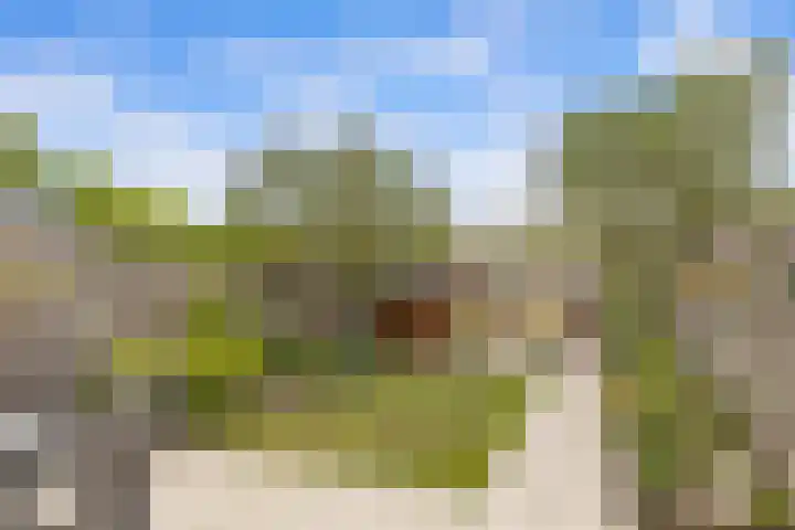 Talmastraat 5 Rijen thumbnail 18