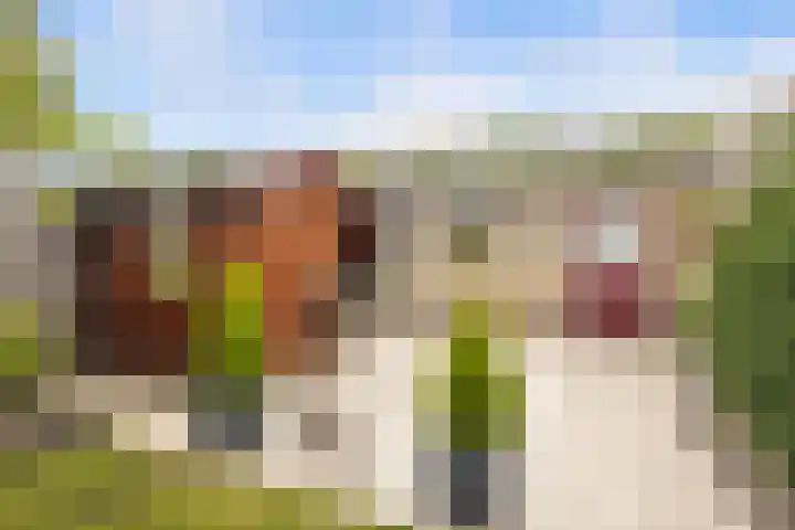 Talmastraat 5 Rijen thumbnail 20