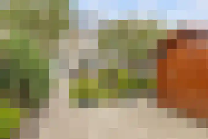 Talmastraat 5 Rijen thumbnail 21