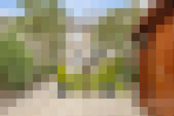 Talmastraat 5 Rijen thumbnail 22