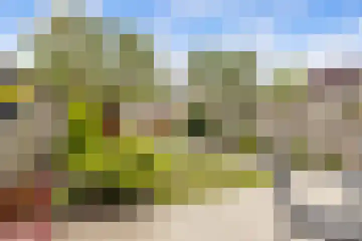 Talmastraat 5 Rijen thumbnail 4