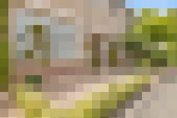 Talmastraat 5 Rijen thumbnail 44