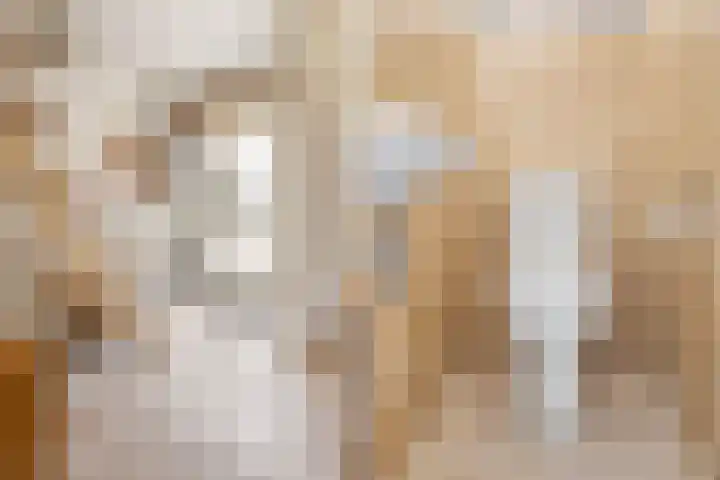 Talmastraat 5 Rijen thumbnail 7