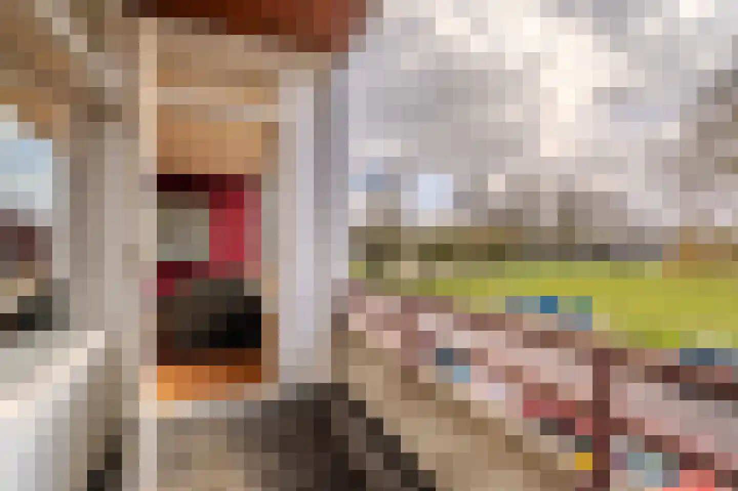 Talmastraat 51 Hoogezand thumbnail 21