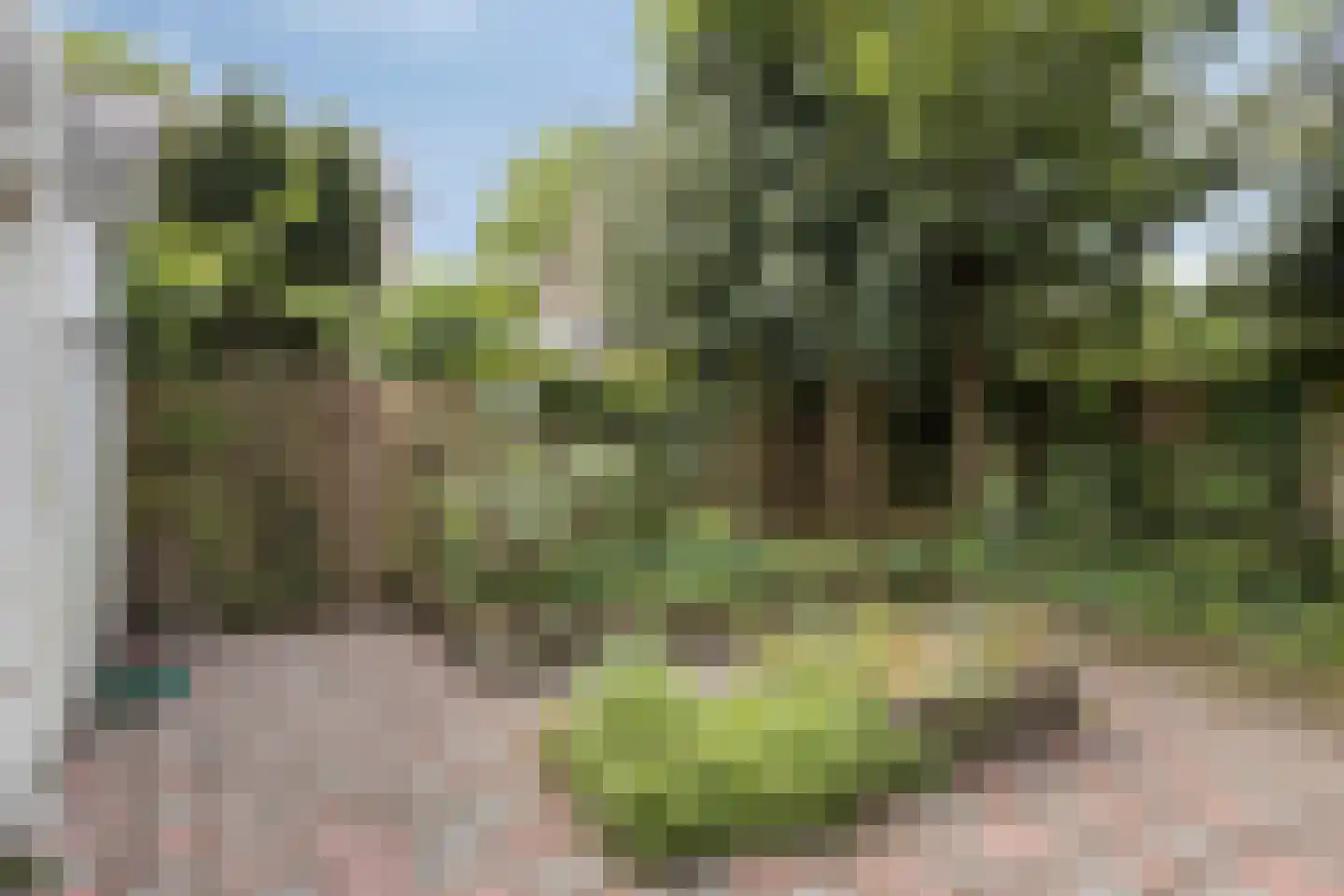 Talmastraat 53 Oss thumbnail 29