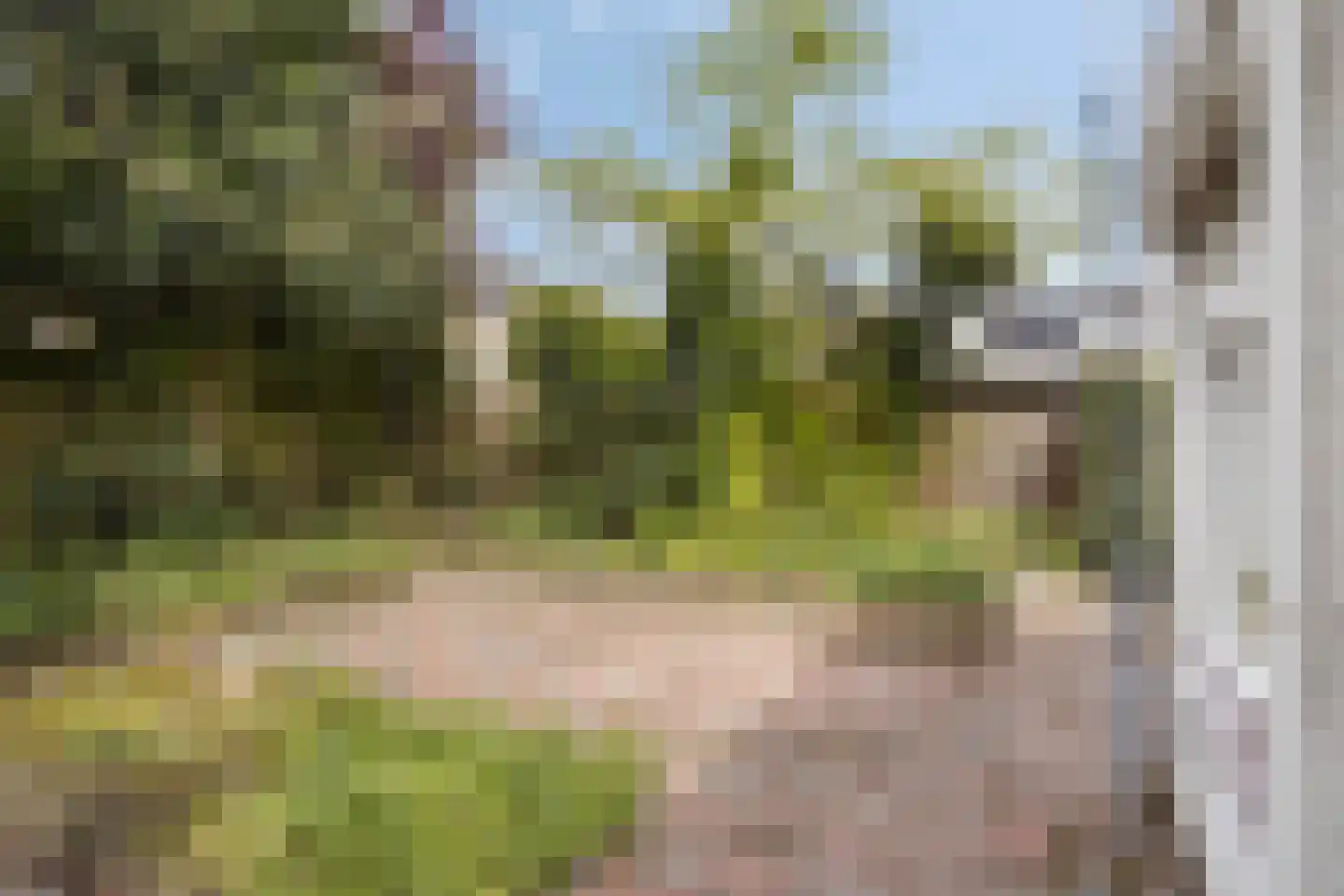 Talmastraat 53 Oss thumbnail 30