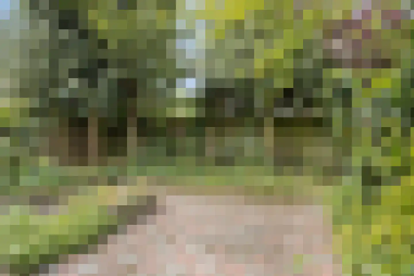 Talmastraat 53 Oss thumbnail 31