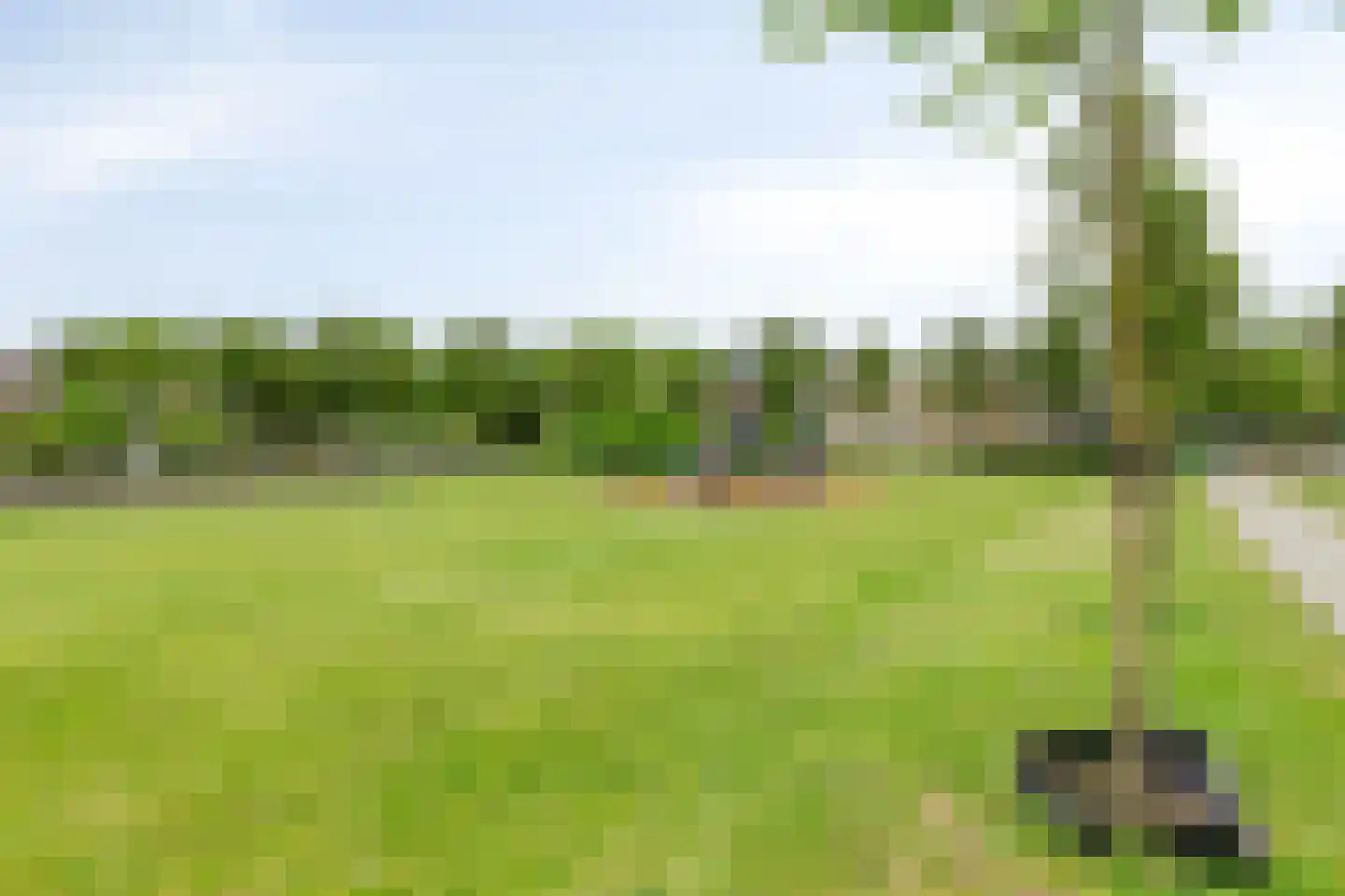 Talmastraat 53 Oss thumbnail 52