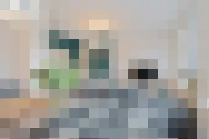 Talmastraat 63 D Rotterdam thumbnail 10
