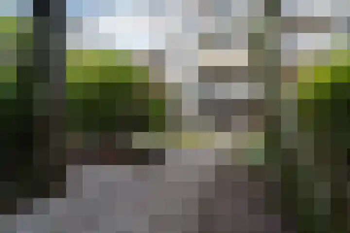 Talmastraat 63 D Rotterdam thumbnail 15