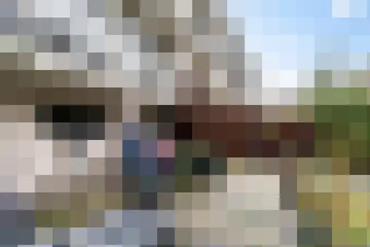 Talmastraat 63 D Rotterdam thumbnail 17