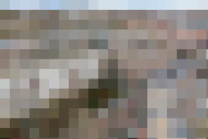 Talmastraat 63 D Rotterdam thumbnail 32
