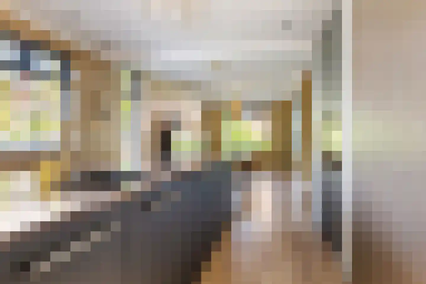 Talmastraat 65 Breda thumbnail 10