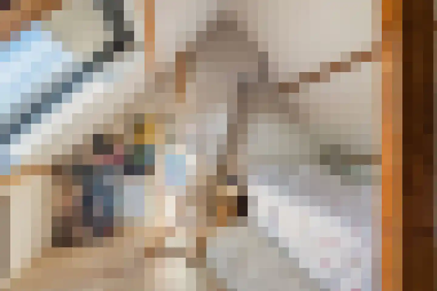 Talmastraat 65 Breda thumbnail 31