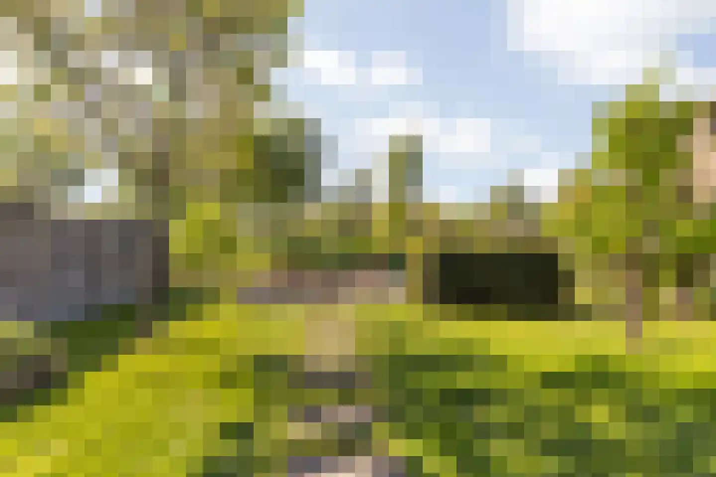 Talmastraat 65 Breda thumbnail 38