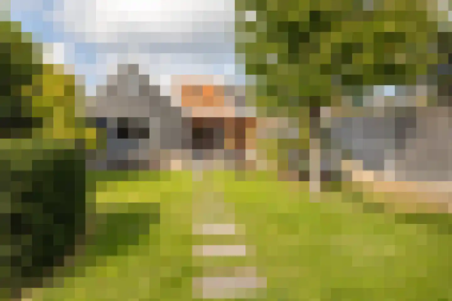 Talmastraat 65 Breda thumbnail 43