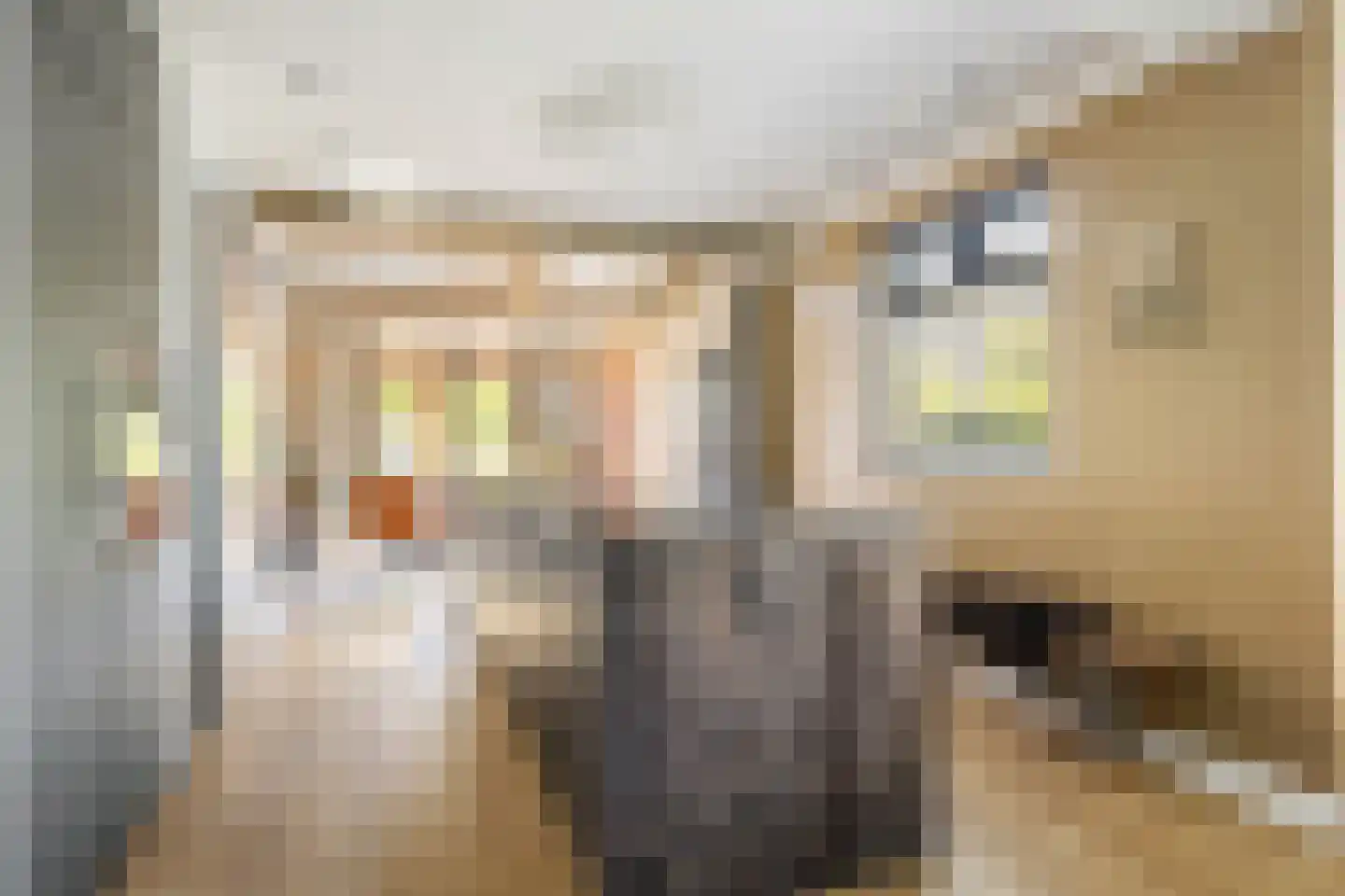 Talmastraat 65 Breda thumbnail 6