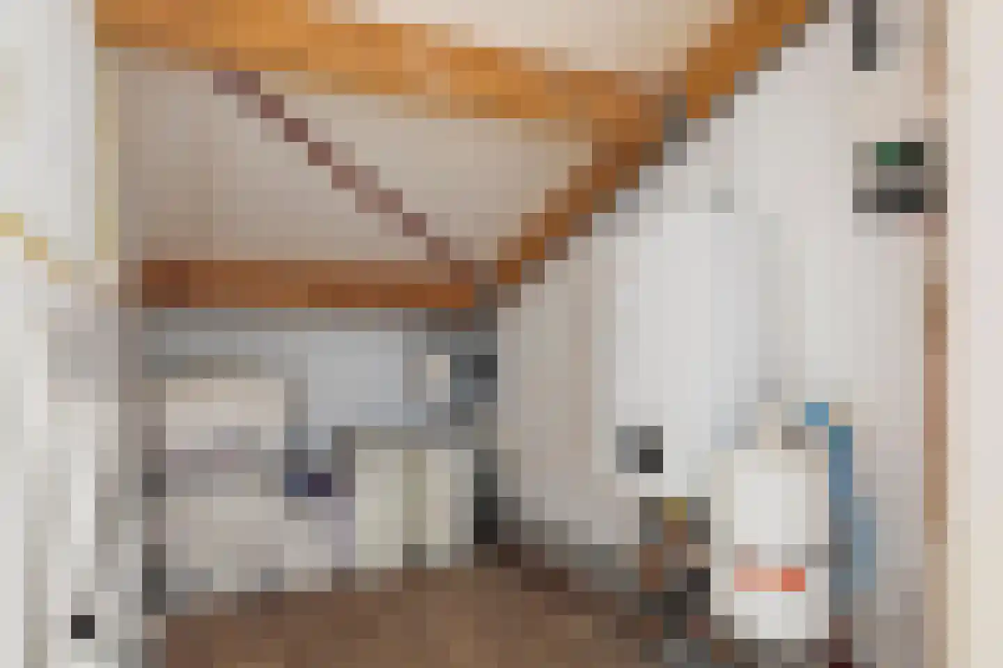 Talmastraat 7 Oosterhout thumbnail 27