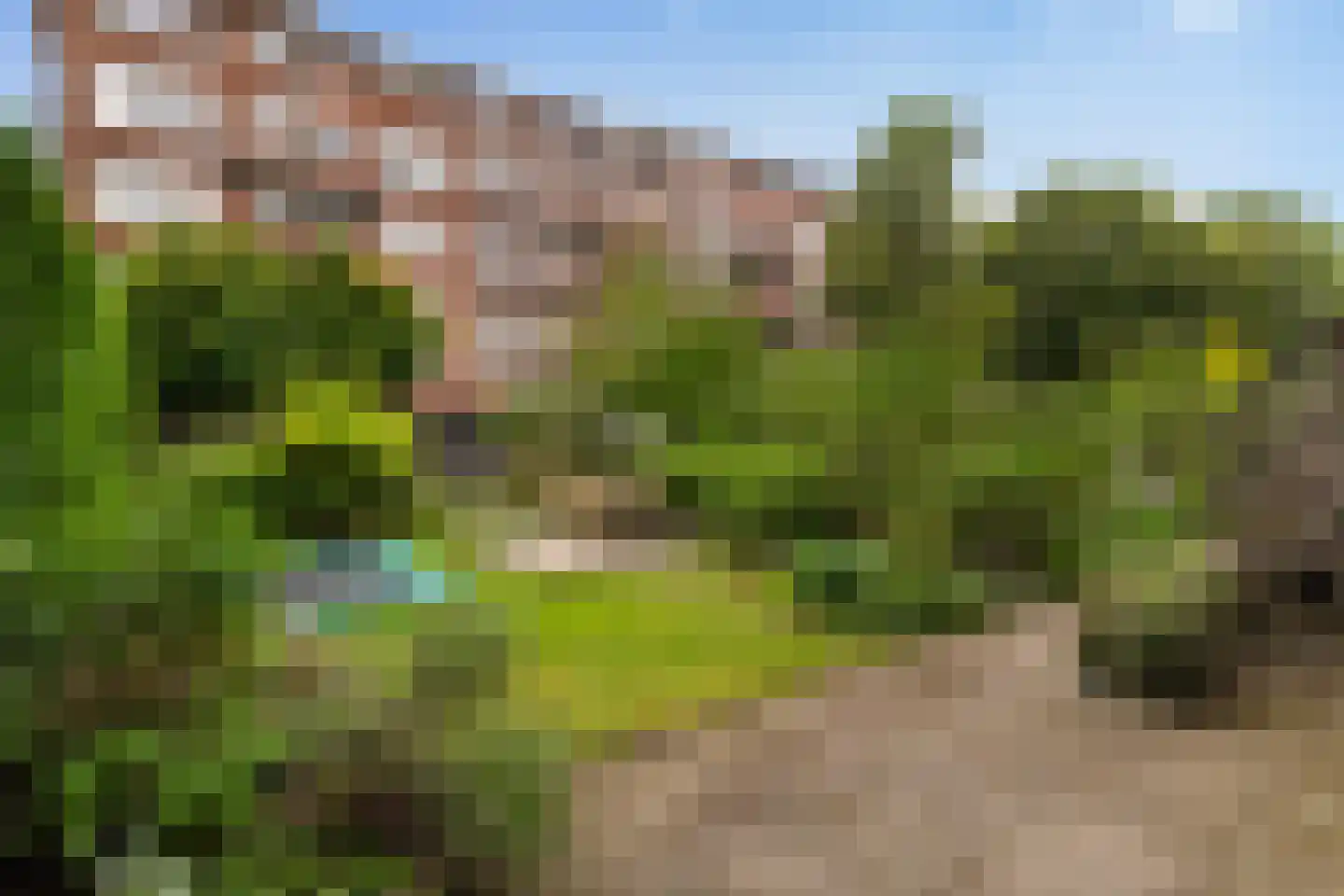 Talmastraat 73 A Rotterdam thumbnail 26