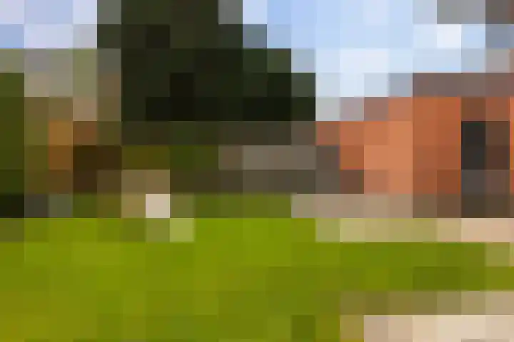 Talmastraat 73 Veendam thumbnail 34