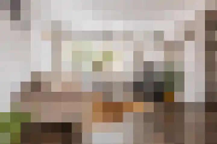 Talmastraat 73 Veendam thumbnail 8