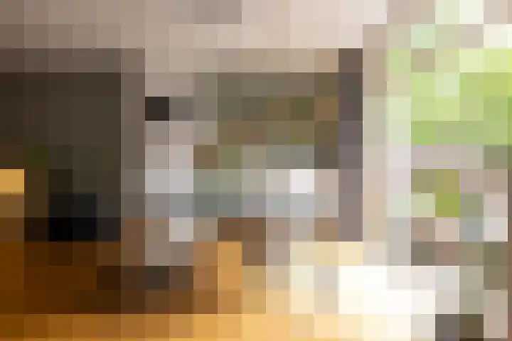 Talmastraat 84 B 01 Rotterdam thumbnail 11