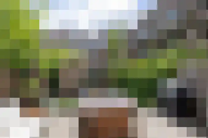 Talmastraat 84 B 01 Rotterdam thumbnail 23