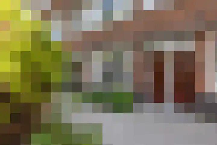 Talmastraat 84 B 01 Rotterdam thumbnail 32