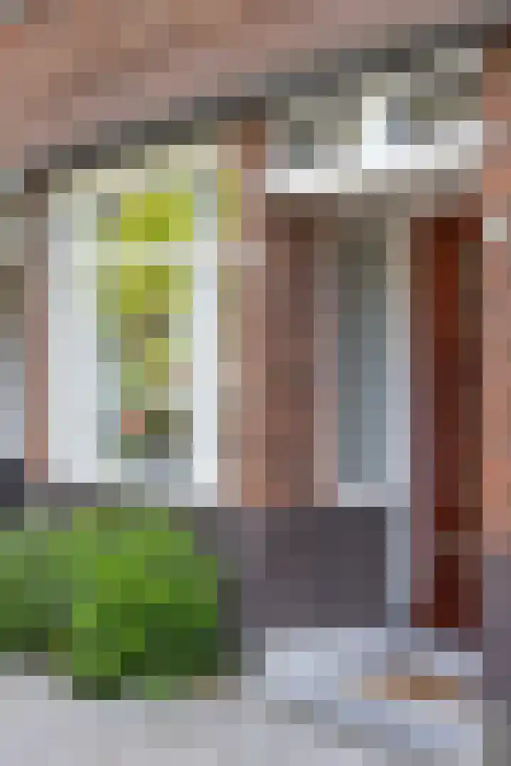 Talmastraat 84 B 01 Rotterdam thumbnail 5