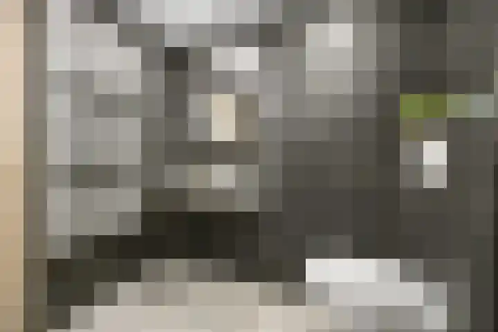 Talmastraat 89 Waalwijk thumbnail 24
