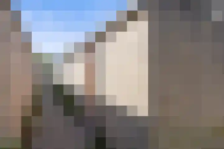 Talmastraat 89 Waalwijk thumbnail 35