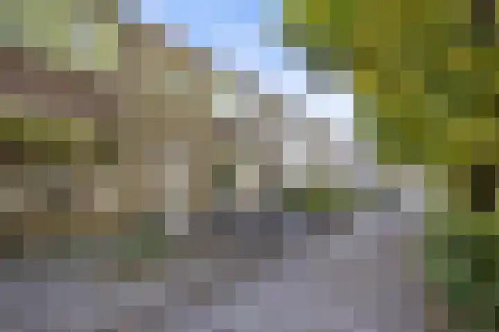 Talmastraat 89 Waalwijk thumbnail 37