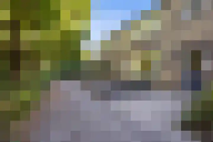 Talmastraat 89 Waalwijk thumbnail 38