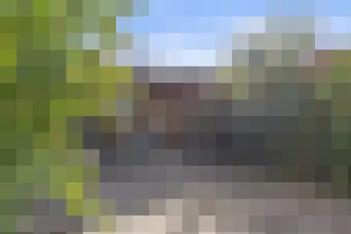 Talmastraat 89 Waalwijk thumbnail 4