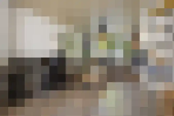 Talmastraat 89 Waalwijk thumbnail 7