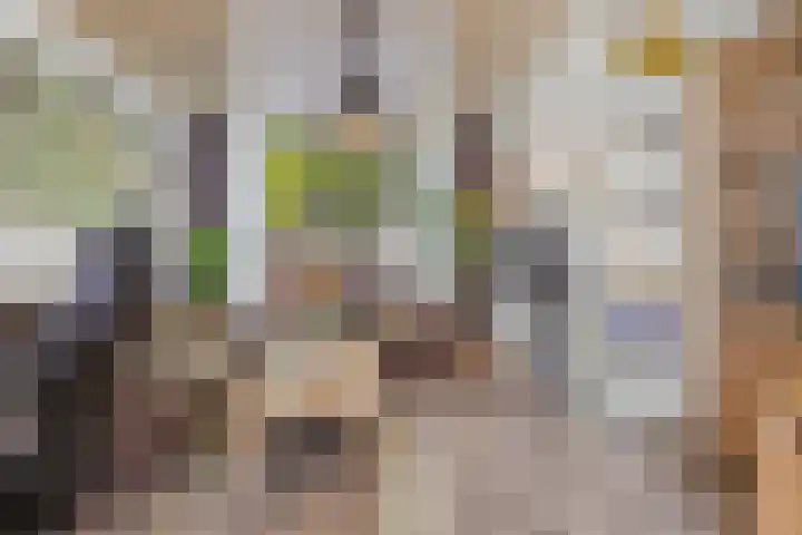 Talmastraat 89 Waalwijk thumbnail 8