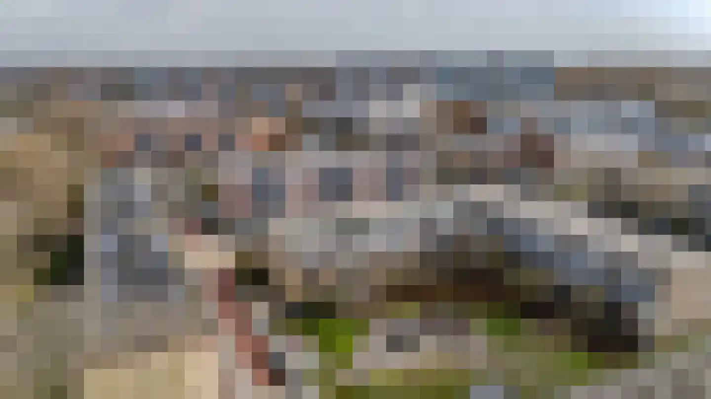 Talmastraat 9 Katwijk thumbnail 38