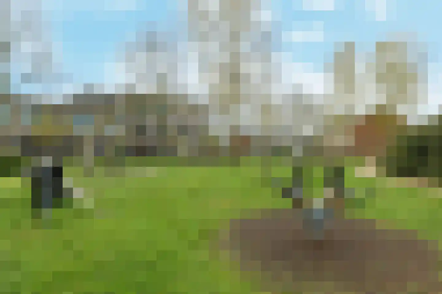 Talmaweg 19 Barendrecht thumbnail 31