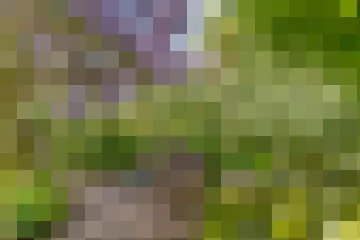 Talmaweg 30 Barendrecht thumbnail 14