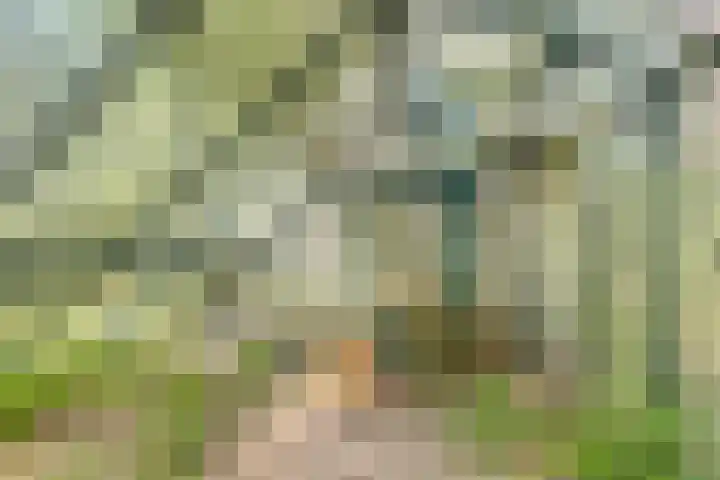 Talmaweg 30 Barendrecht thumbnail 17