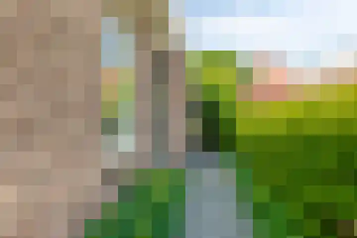 Talmaweg 30 Barendrecht thumbnail 39