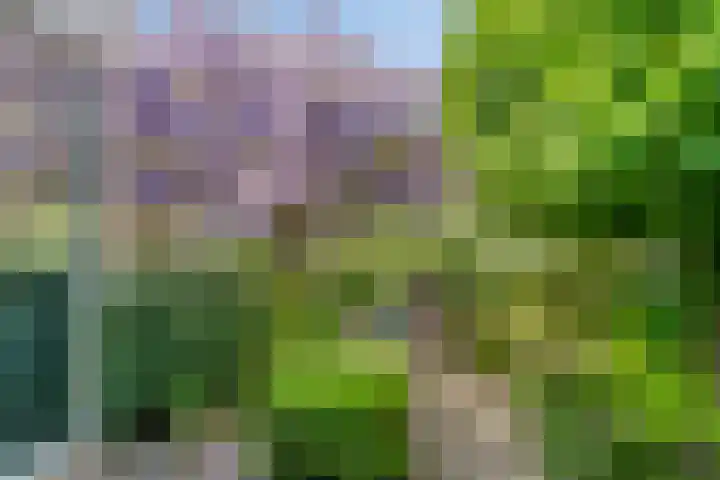 Talmaweg 30 Barendrecht thumbnail 4