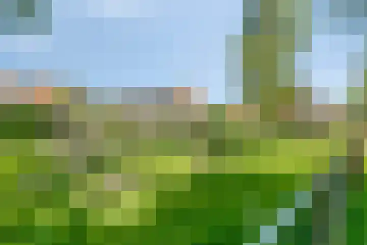 Talmaweg 30 Barendrecht thumbnail 40