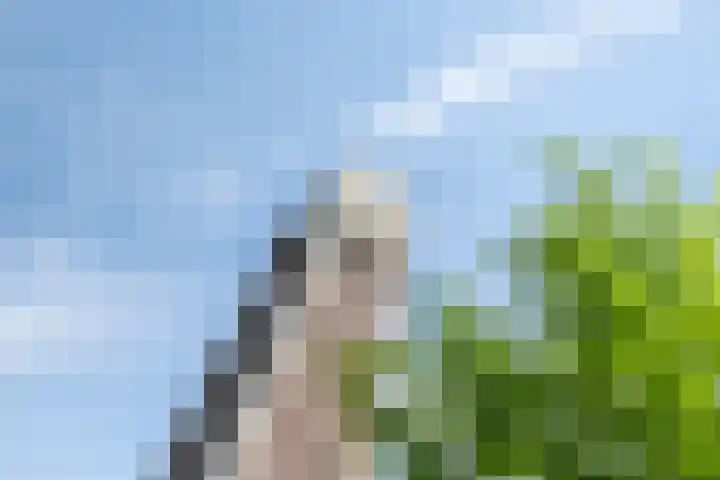 Talmaweg 30 Barendrecht thumbnail 43